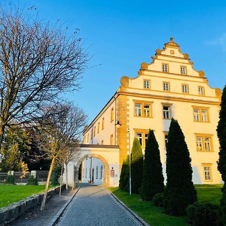 Loft Apartments Decin Bagian luar foto